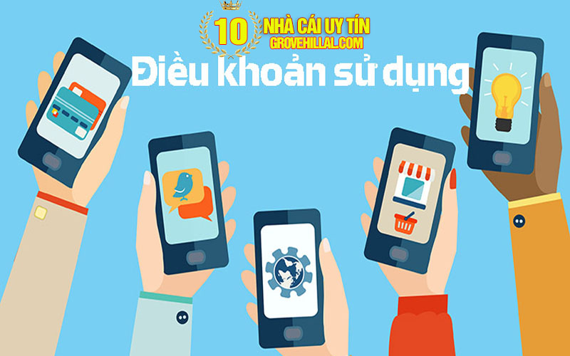 Điều khoản sử dụng thông tin